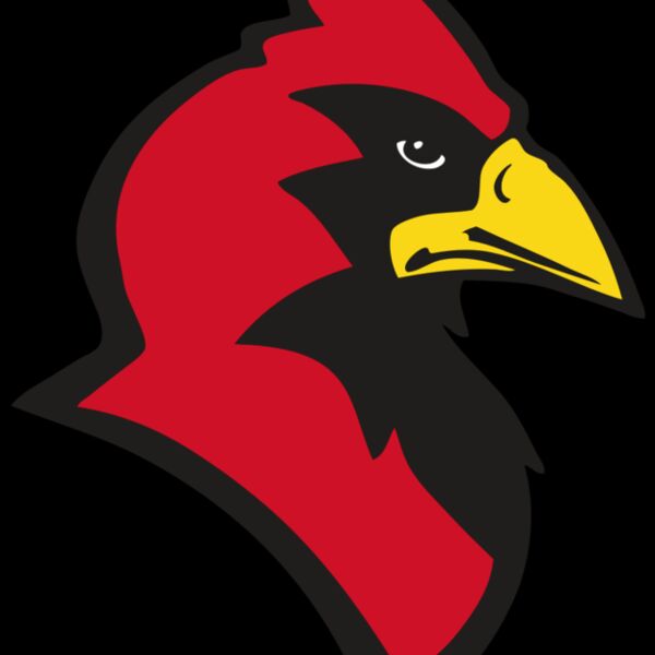 AR CARDINAL 20 RC Thumbnail