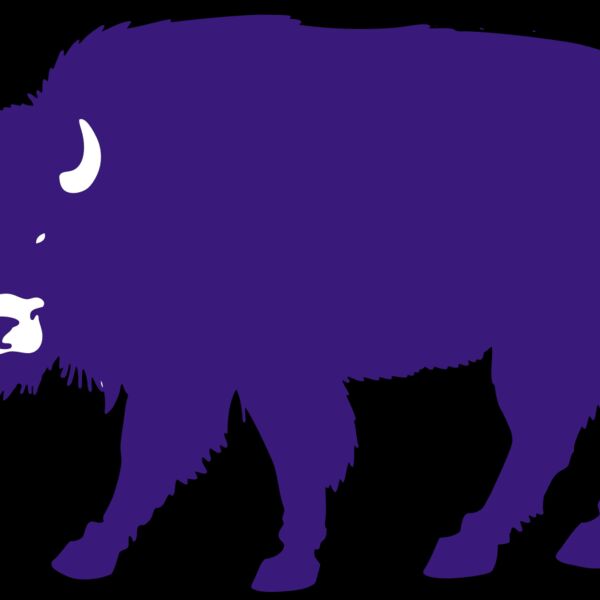 AR BUFF 23 RC Thumbnail