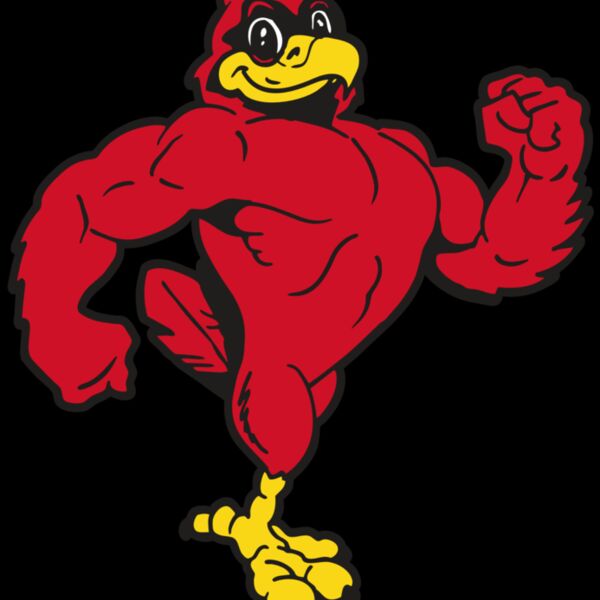 AR CARDINAL 41 RC Thumbnail