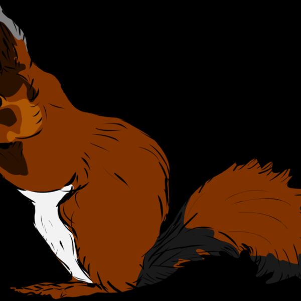 1293995965  2  Thumbnail