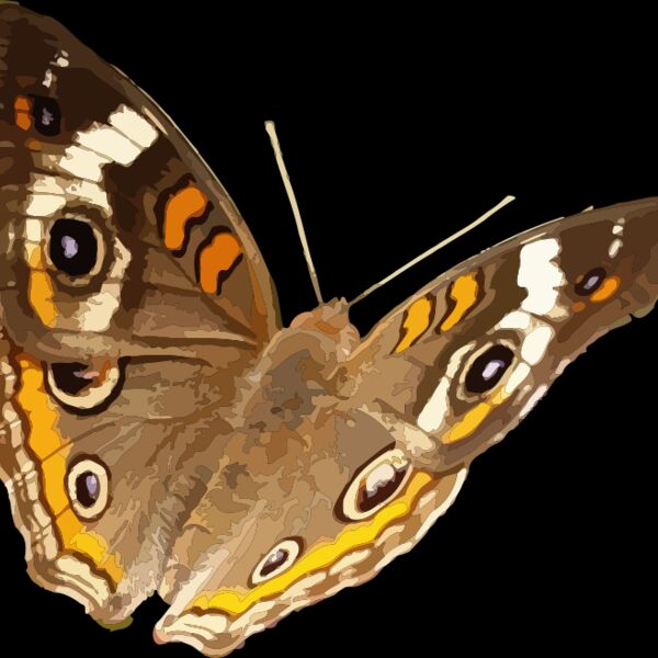 1318118459  2  Thumbnail