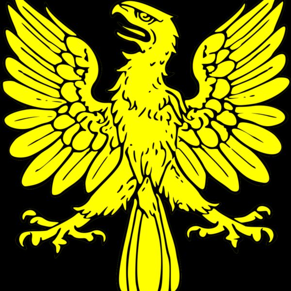 szquirrel eagle displayed Thumbnail