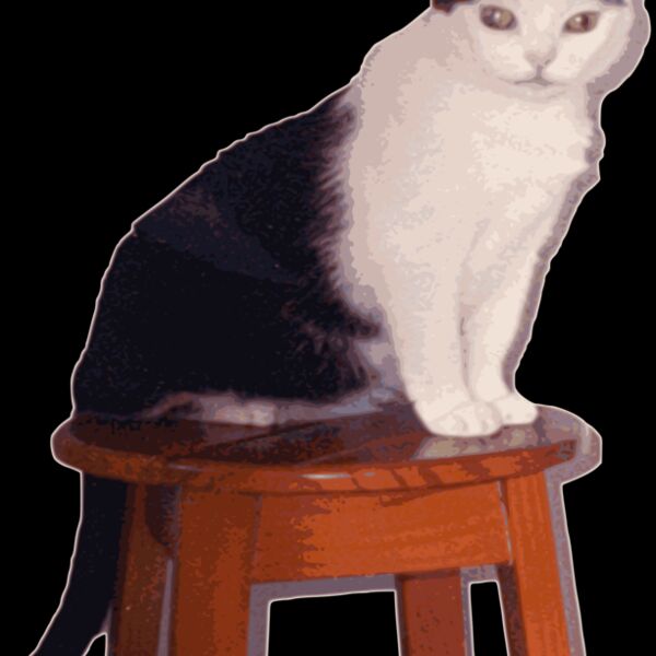 Juma Marrua Thumbnail