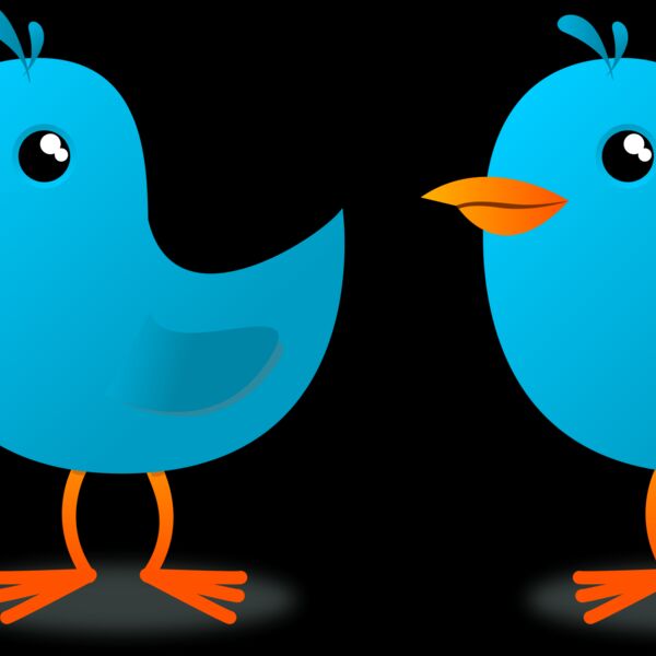 twitter bird evandro Thumbnail