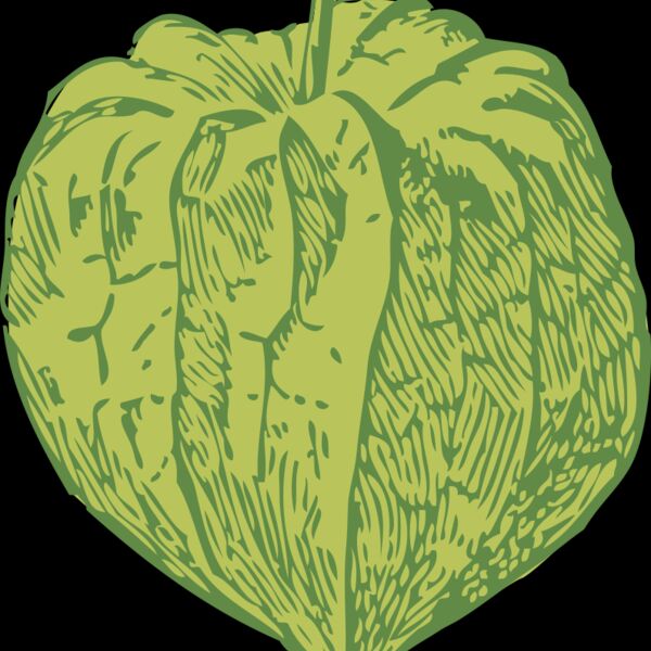 johnny automatic tomatillo Thumbnail