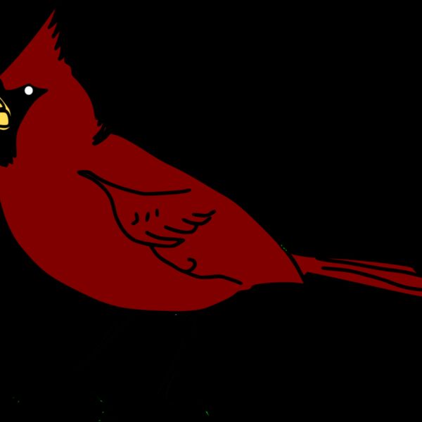 RobGTX Cardinal Thumbnail