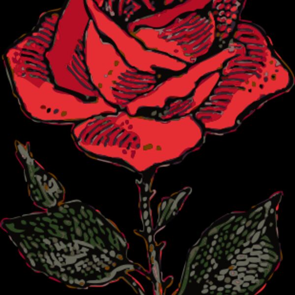 johnny automatic rose 3 Thumbnail