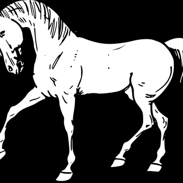 warszawianka Walking horse outline Thumbnail