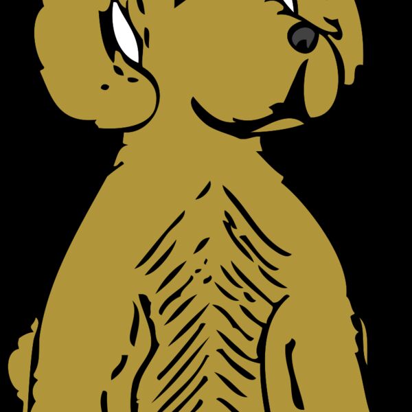 johnny automatic dog front view Thumbnail