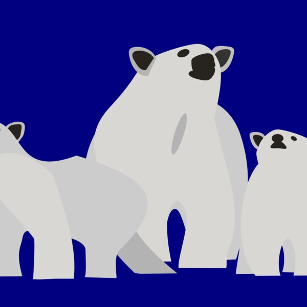 3 eisbaeren Thumbnail