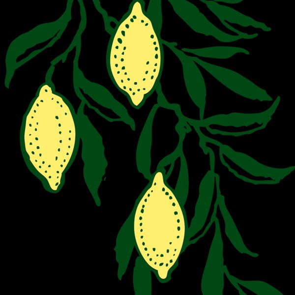 johnny automatic lemon branch Thumbnail