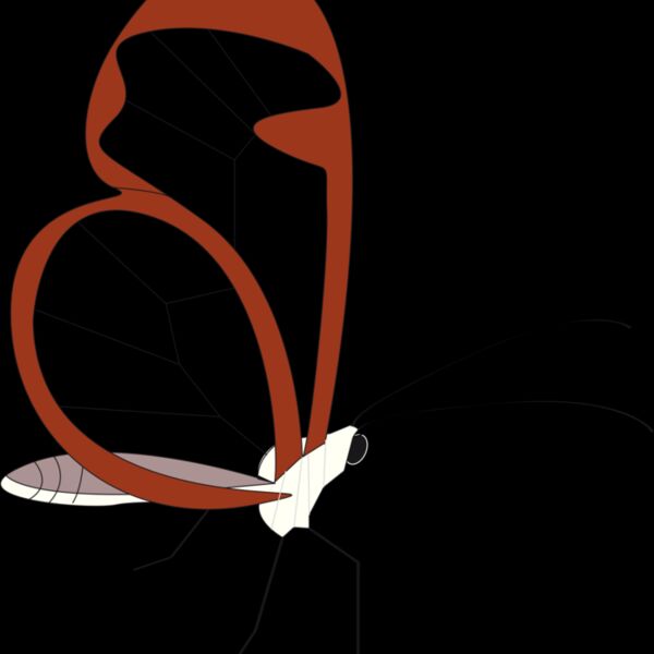 papillon de plus Thumbnail