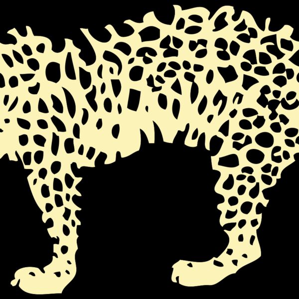 johnny automatic leopard Thumbnail