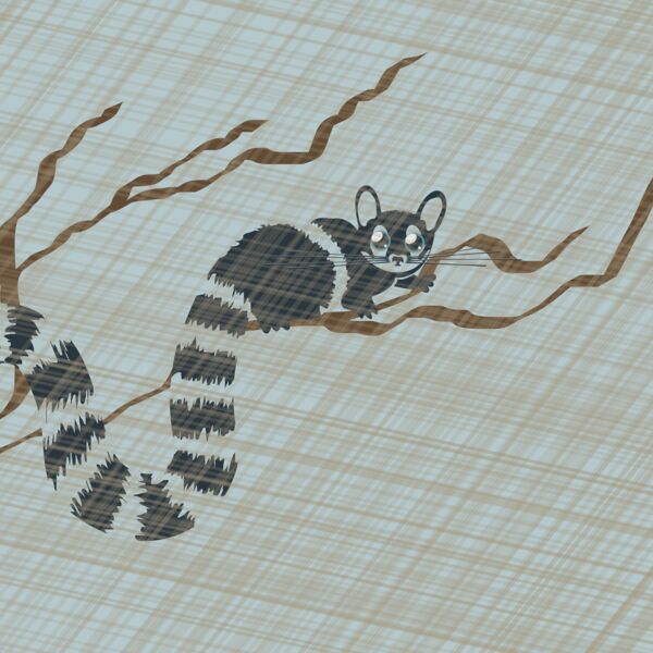 ringtail Thumbnail