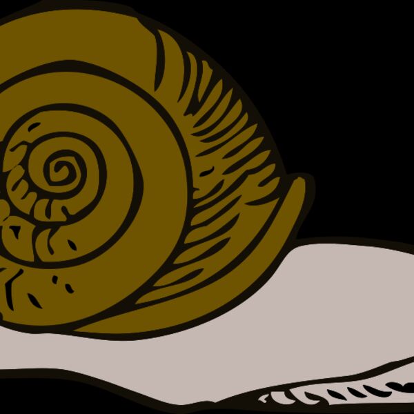 johnny automatic snail 2 Thumbnail