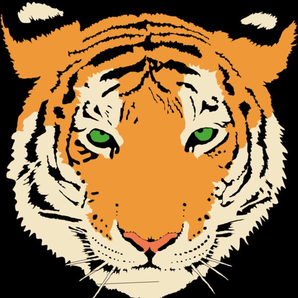 Anonymous Tiger  2  Thumbnail
