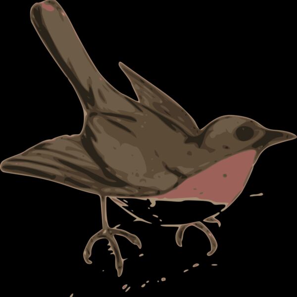 ossidiana bird illustration Thumbnail