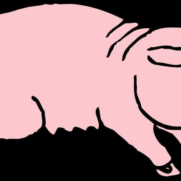 johnny automatic piggie Thumbnail