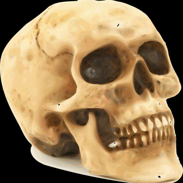 1349556820  2  Thumbnail