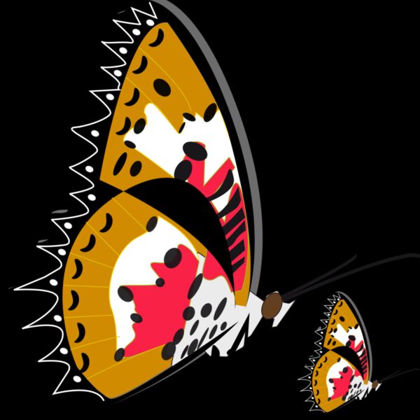 papillonddailes Thumbnail