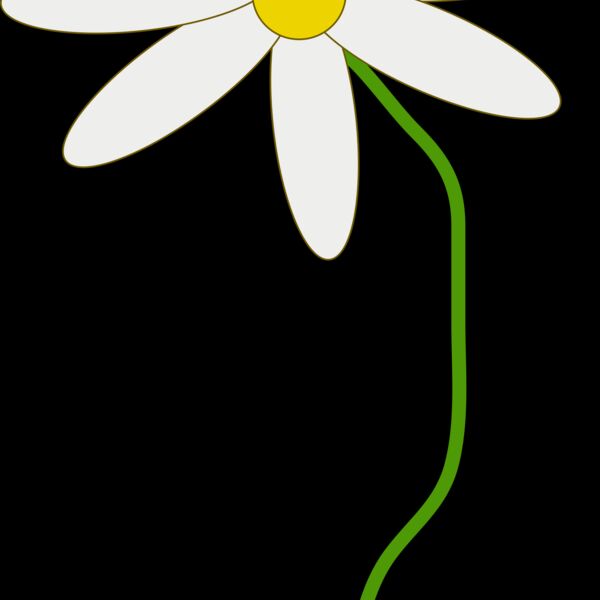 mcol flower in a pot Thumbnail