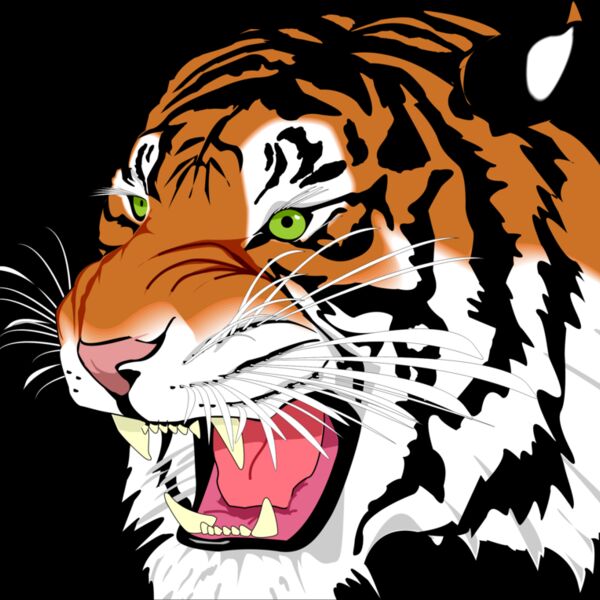 tiger Thumbnail