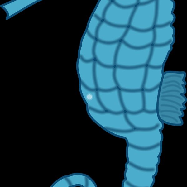 seepferdchen1 Thumbnail