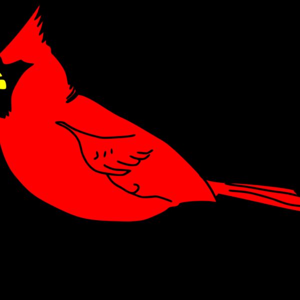 RobGTX Cardinal remix 1 plain Thumbnail