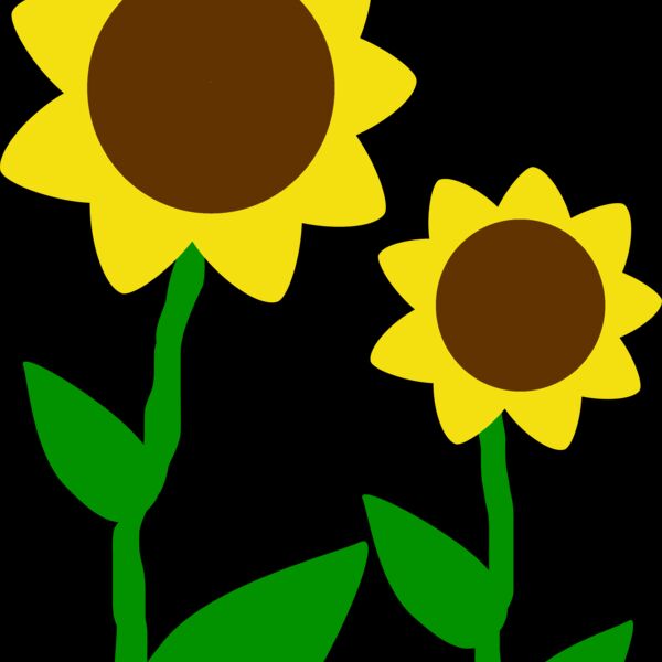 Machovka sunflowers Thumbnail