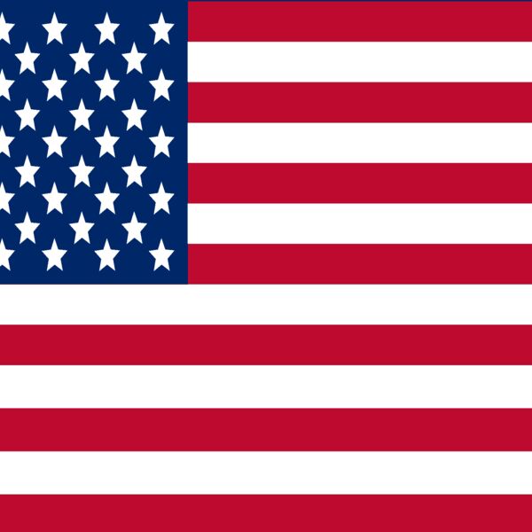 U S A  Flag Thumbnail