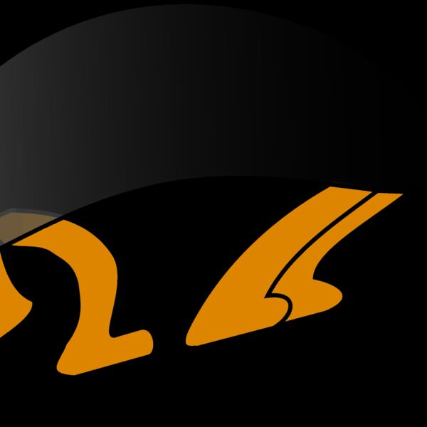 roym tortue1 Thumbnail