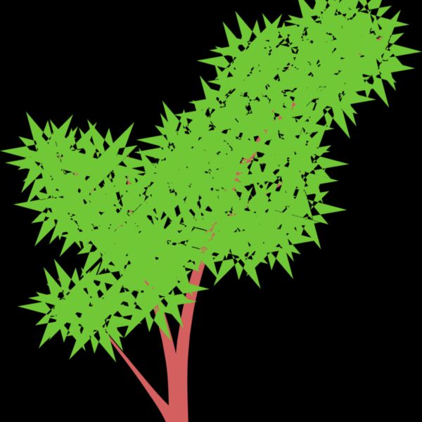 Jenny Arder Tree 1 Thumbnail