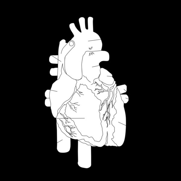 kablam The Human Heart Thumbnail