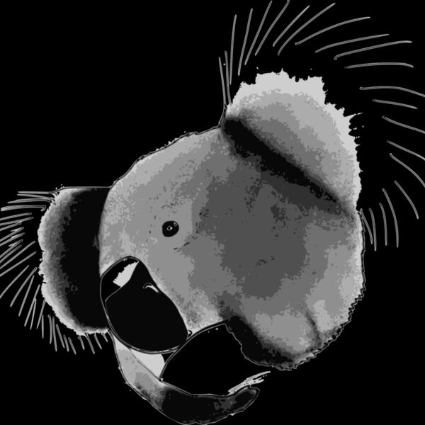 Koala Thumbnail