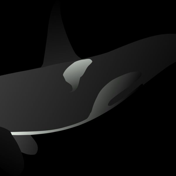 orca matthew gates r Thumbnail