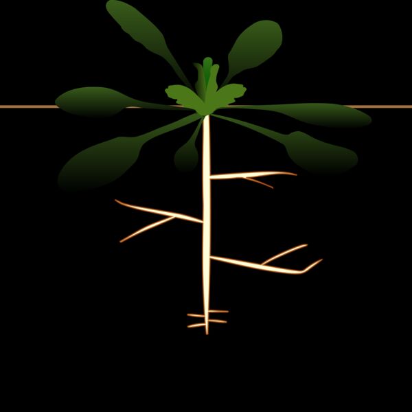 1345600206  2  Thumbnail