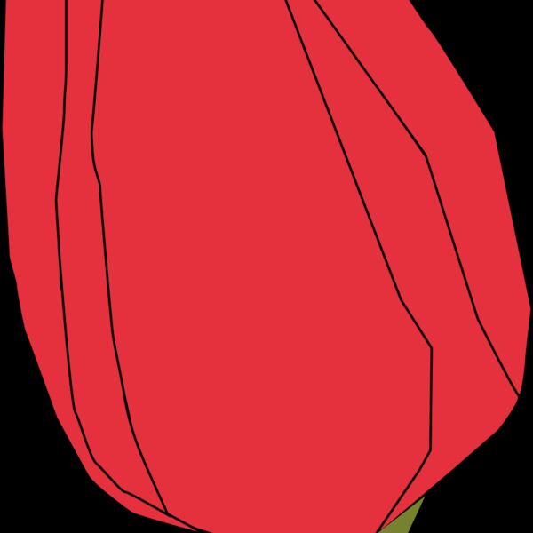 Machovka tulip2 Thumbnail