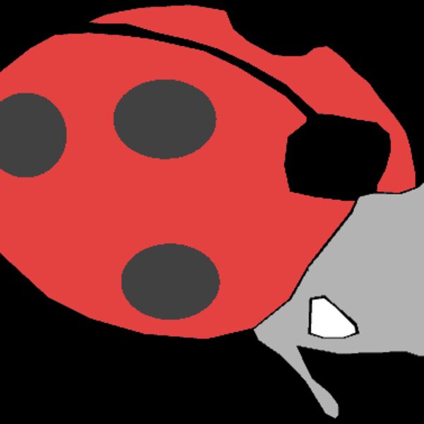 Machovka lady bug Thumbnail