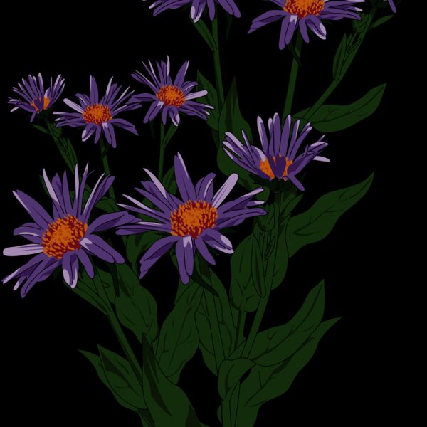 1392375506  2  Thumbnail