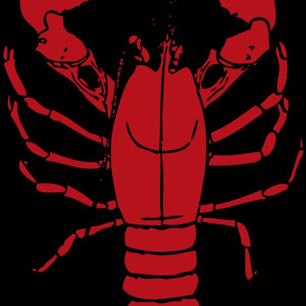 johnny automatic lobster 1 Thumbnail